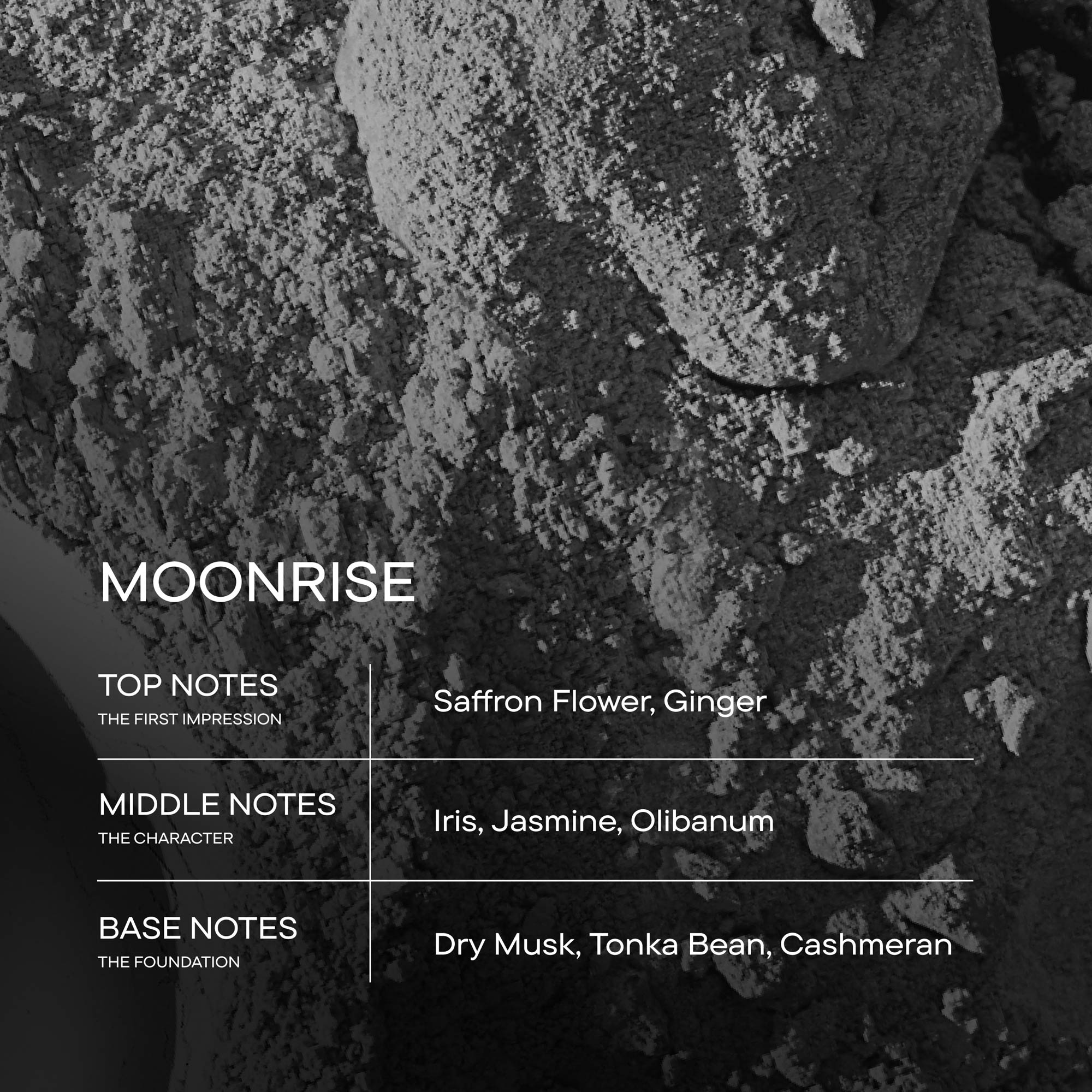 Harry's Plus Razor &amp; Cologne Duo
